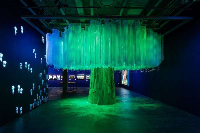 En imágenes: el museo que guarda joyas del cine en Los Ángeles 4 Museo Cine Los Angeles