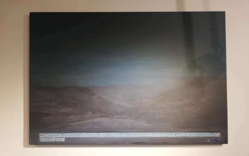 Nelson Santos: variaciones de viajes de un artista consumado 7 Nelson Santos exposición