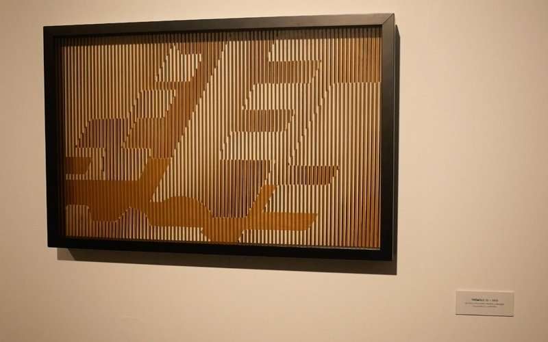 Olga Dueñas de vuelta a Quito con su cinetismo 1 Olga Duenas cinismo tres 1