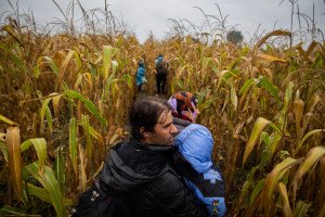 ¿Tú qué puedes hacer por mí? El laberinto de los refugiados sirios 1 _P8A1549