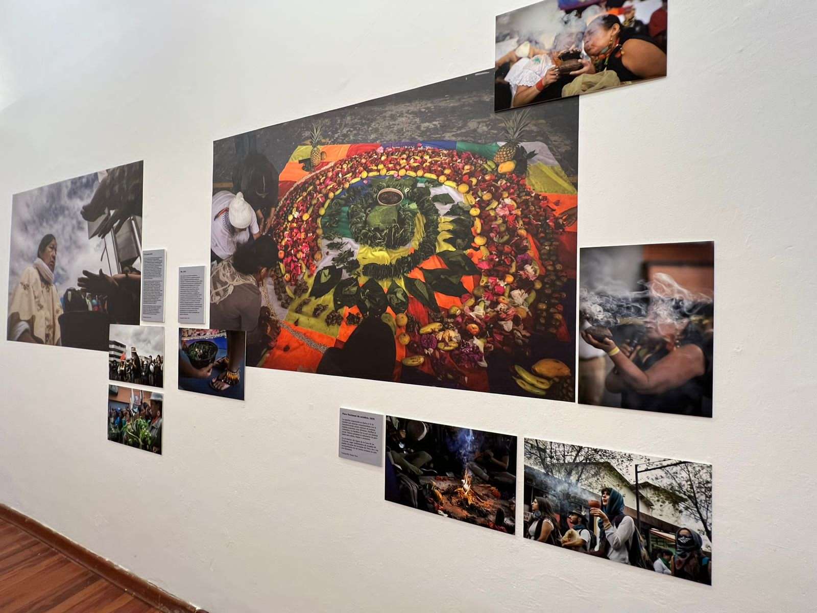 ‘Plantas de poder’, un nuevo puente entre el arte y el reino vegetal 2 PHOTO 2023 11 10 20 33 12 1