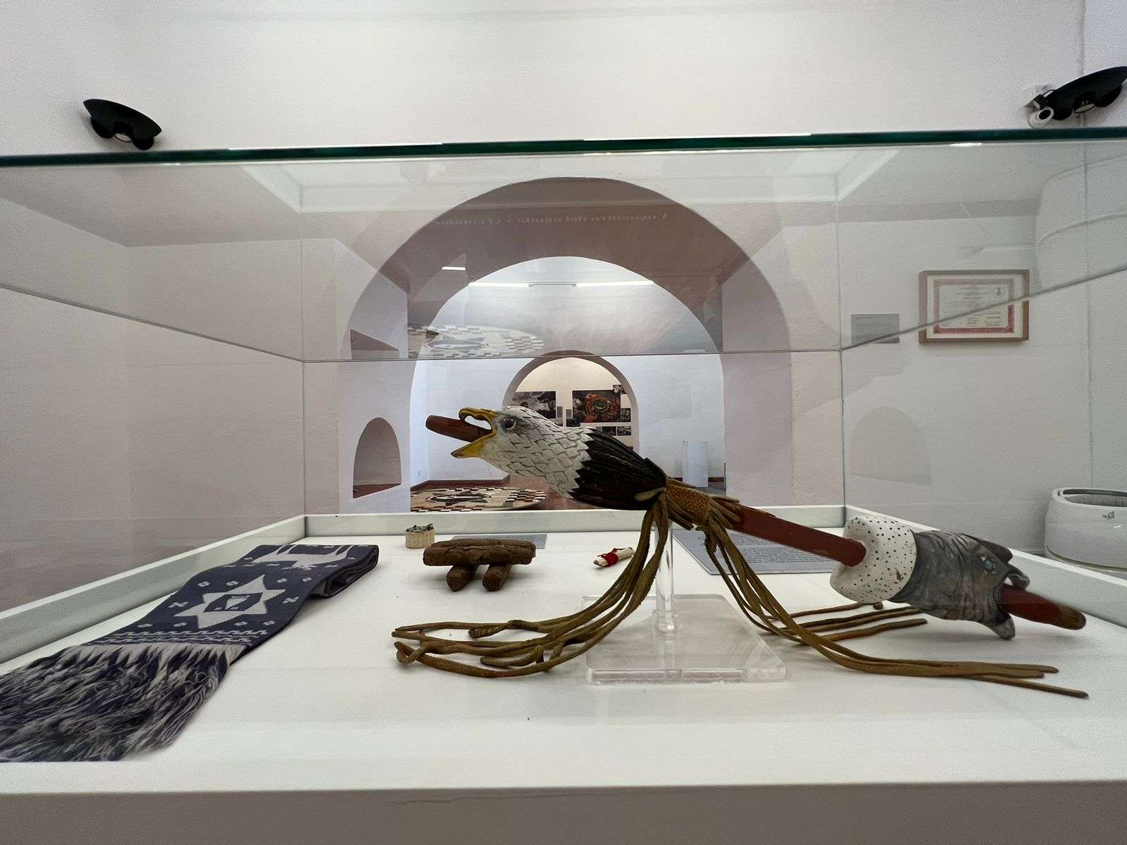 ‘Plantas de poder’, un nuevo puente entre el arte y el reino vegetal 3 PHOTO 2023 11 10 20 33 16 1