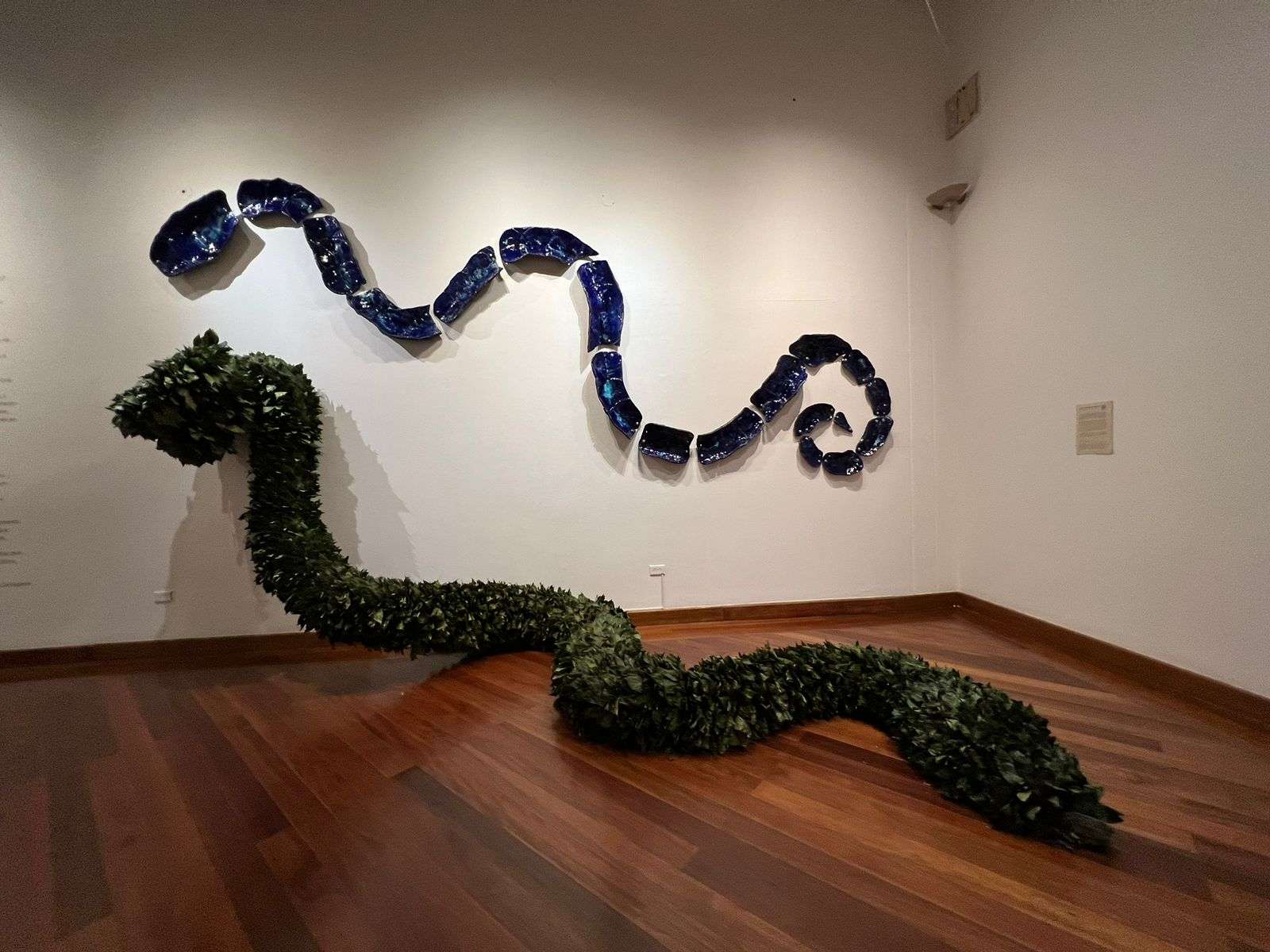 ‘Plantas de poder’, un nuevo puente entre el arte y el reino vegetal 7 PHOTO 2023 11 10 20 33 17 1 1