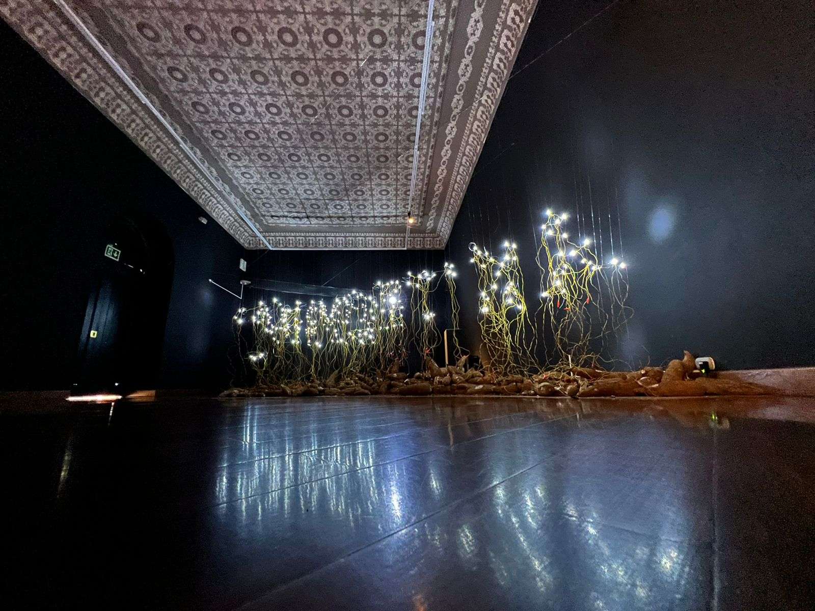 ‘Plantas de poder’, un nuevo puente entre el arte y el reino vegetal 8 PHOTO 2023 11 10 20 33 17 5