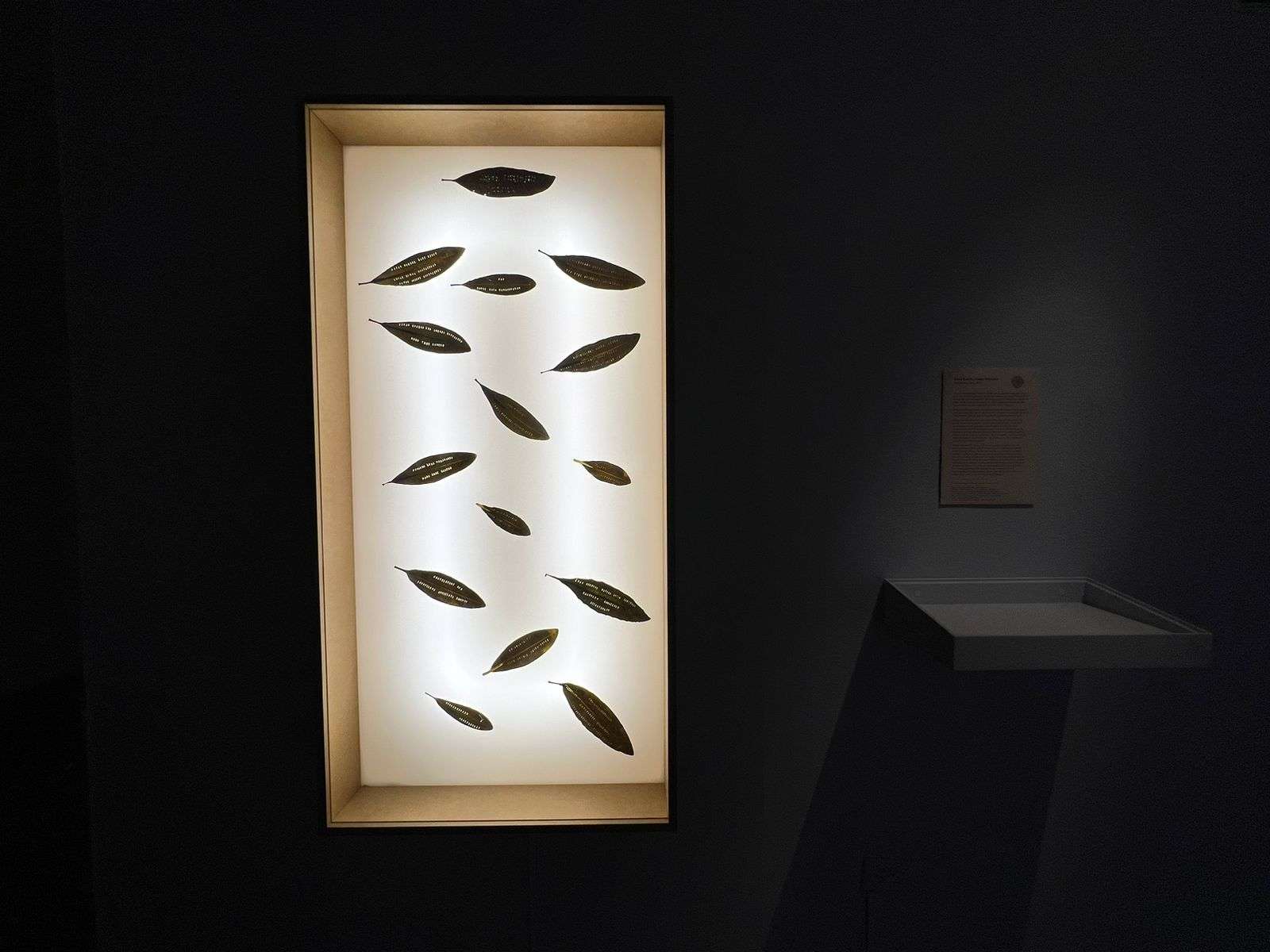 ‘Plantas de poder’, un nuevo puente entre el arte y el reino vegetal 10 PHOTO 2023 11 10 20 33 19 1 1