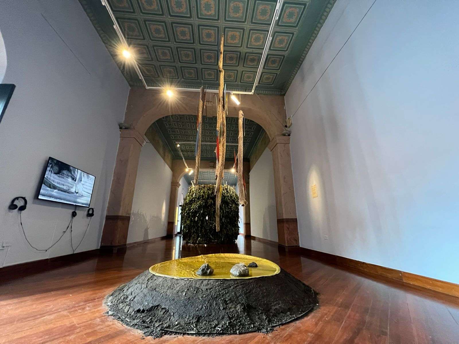 ‘Plantas de poder’, un nuevo puente entre el arte y el reino vegetal 13 PHOTO 2023 11 10 20 33 22 1