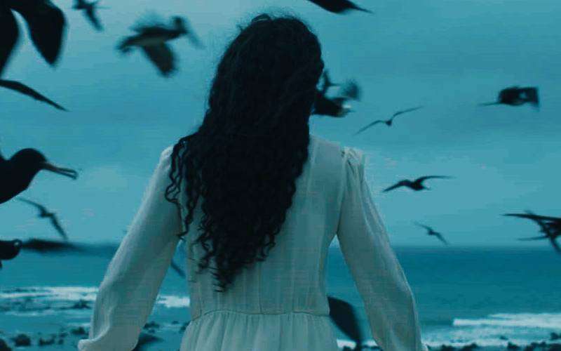 La piel pulpo, el regreso de Ana Cristina Barragán 2 Pulpo1 1 1