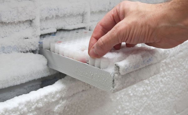 Bancos de semen: vidas en el anonimato. 1 Semen---1