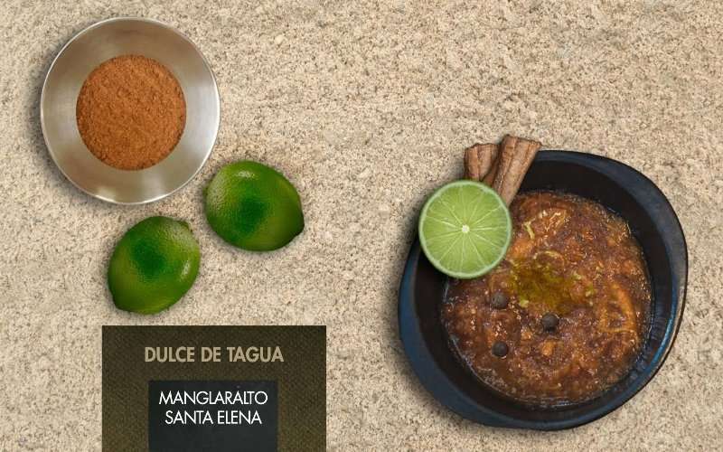 Los secretos de la tagua y su origen ancestral 1 Tagua