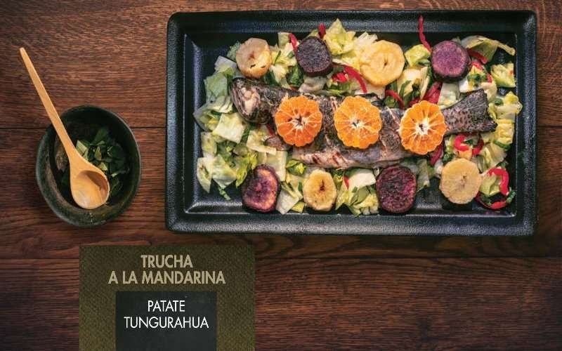 ¿Cómo cocinar una rica trucha de mandarina? 1 Trucha a la mandarina