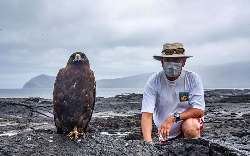 Galápagos con mascarilla 14 aguila islas galapagos 1