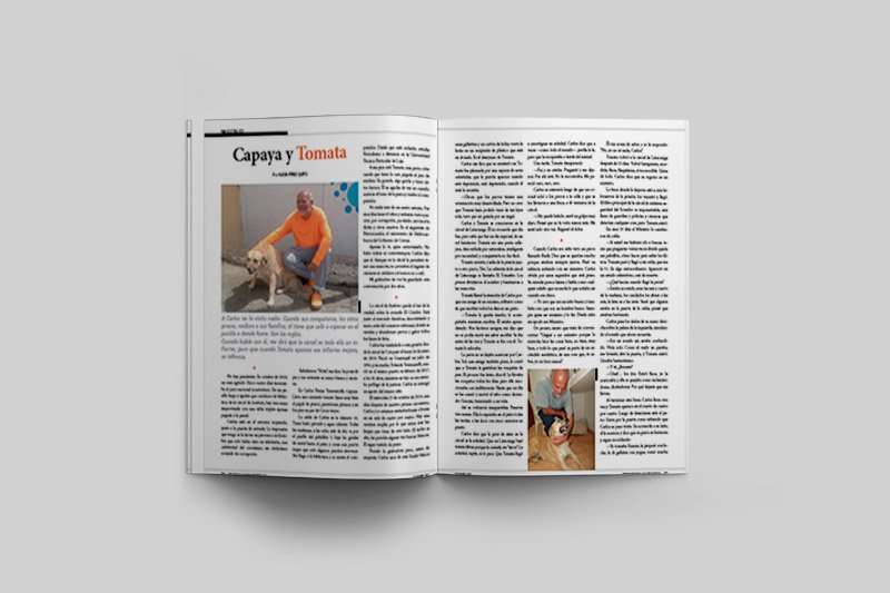 Carta del Procurador 1 Articulo de Capaya y Tomata edición diciembre.