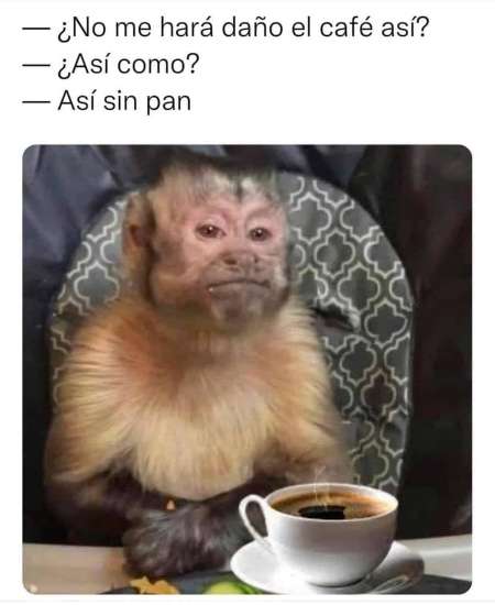 Un día especial para los adictos al café 3 Café