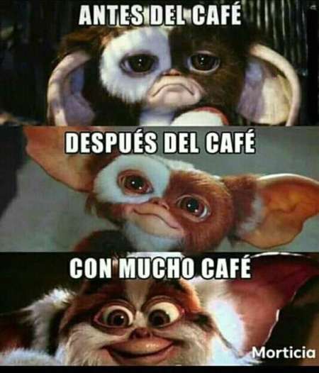 Un día especial para los adictos al café 2 Café