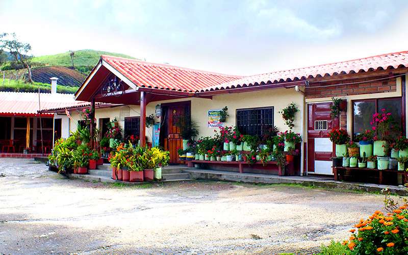 Comida de familia en <em>La casa de Richie</em> 1 La casa de los padres de Richard Carapaz.