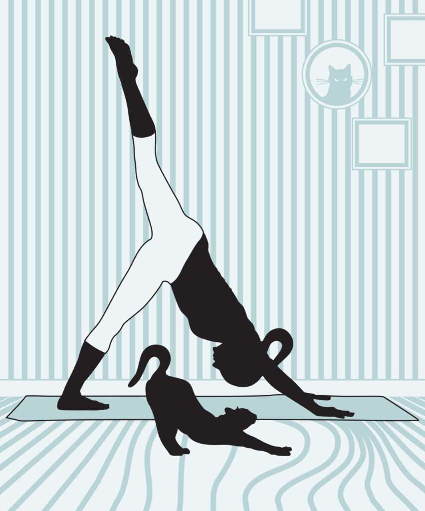 Lecciones del gato 2 firma Aguirre 462