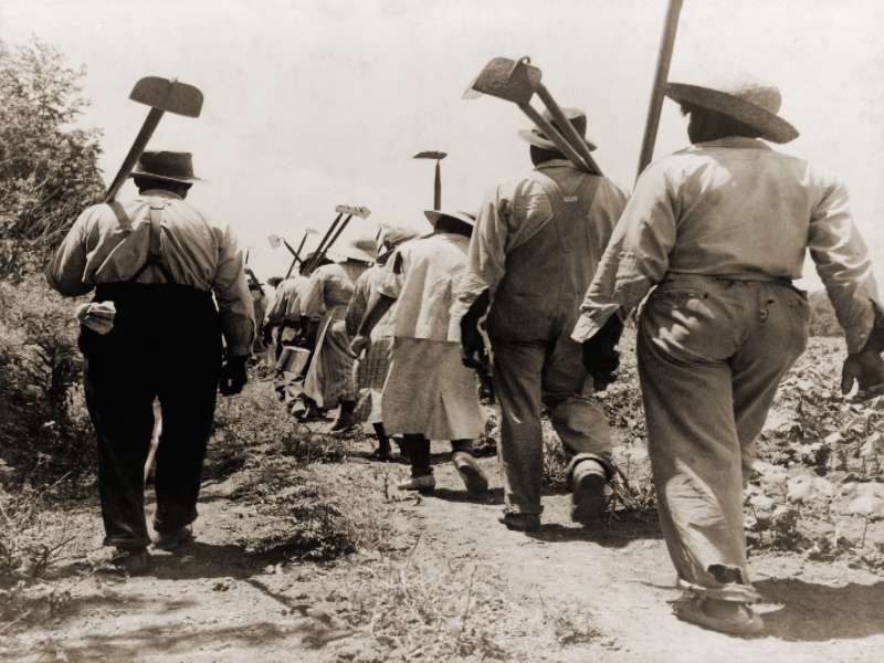 Obras de fotógrafas notables del siglo XX se exhibirán en Nueva York 2 fotografas clasicas esclavos 1