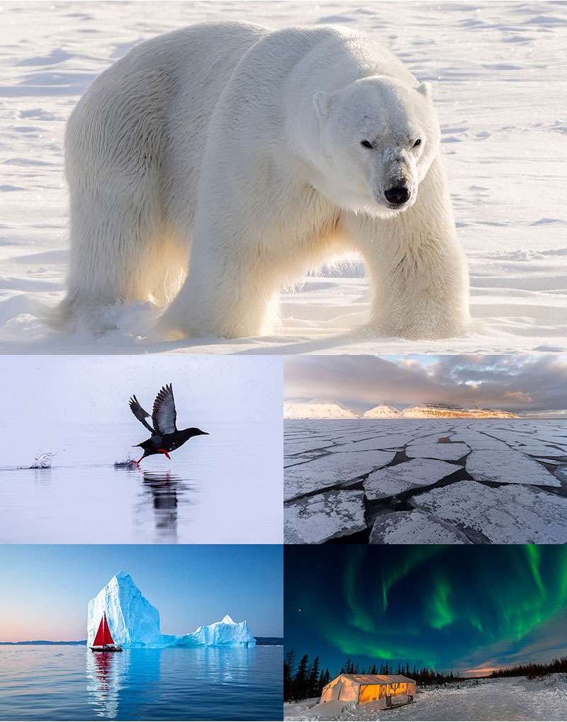 <em>Ártico</em> 1 fotorreportaje artico chediak