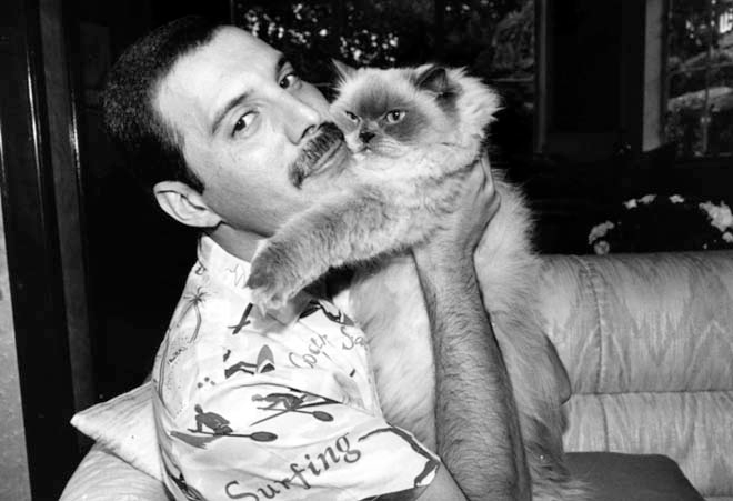 El show debe continuar 1 freddie-mercury-23-05-13-a