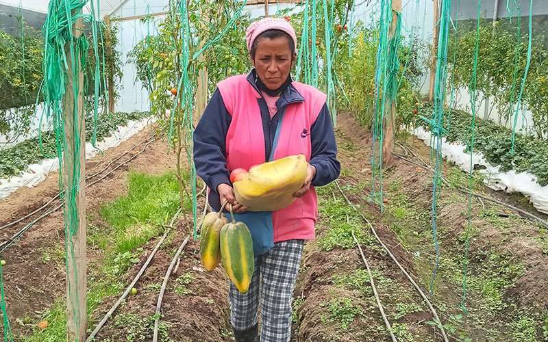 Una historia del agua 1 invernadero elsa cruz