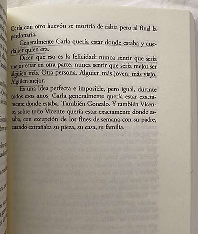 Poeta chileno 2 libro zambra