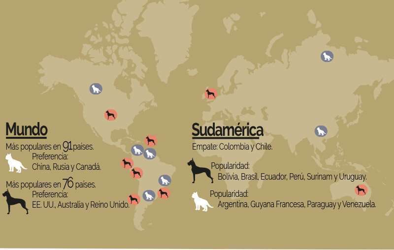 Perros y gatos 1 mapa 1