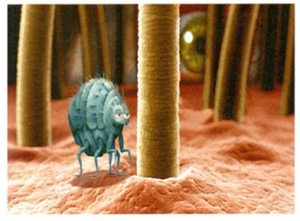 La venganza 1 monica varea la venganza logo