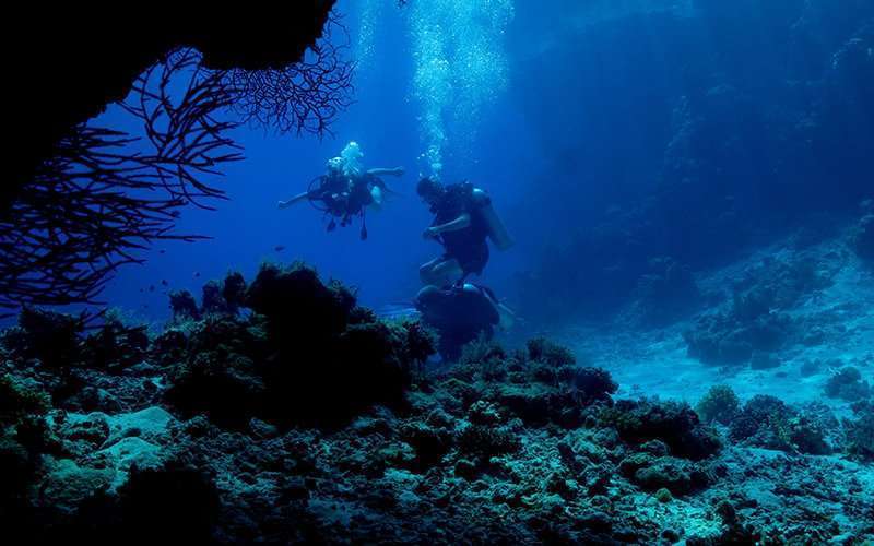 Un mapa de los océanos en 2030 1 oceano 1