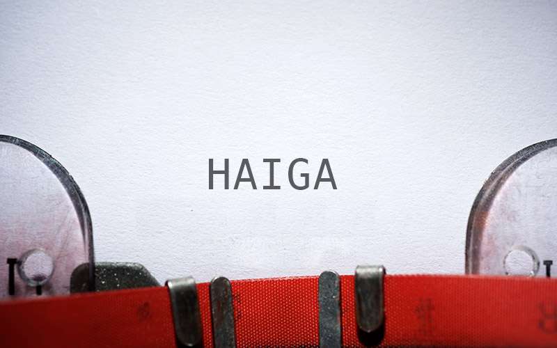 Haiga / Haya 1 Haya / Haiga