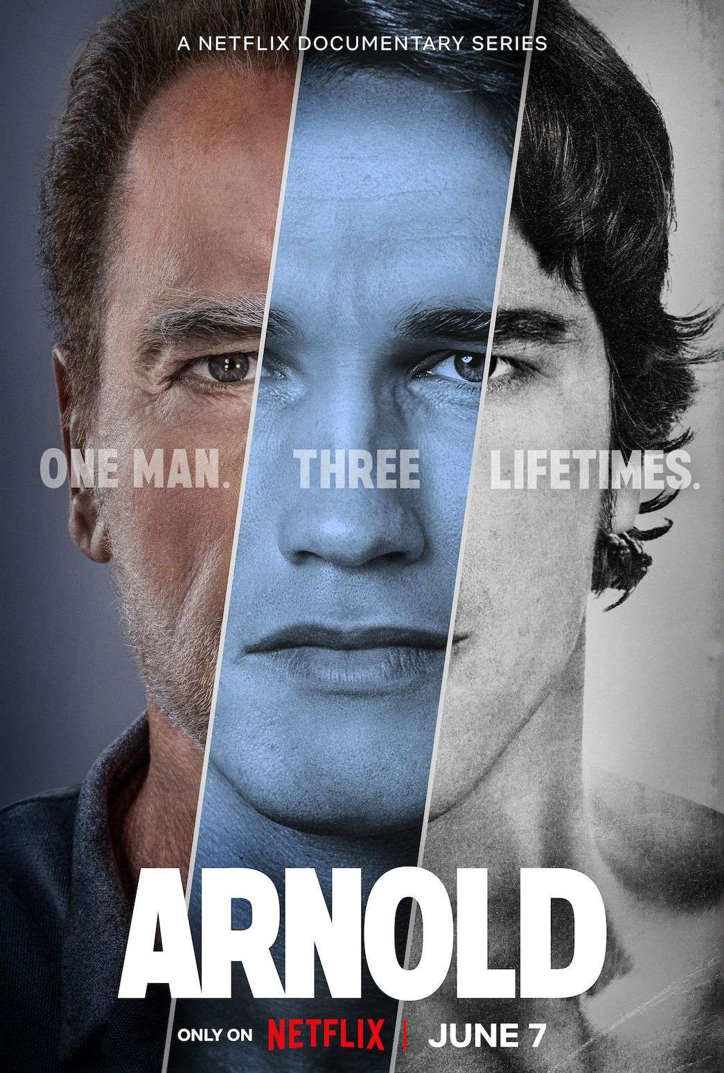 La serie de Arnold Schwarzenegger 1 Arnold Schwarzenegger