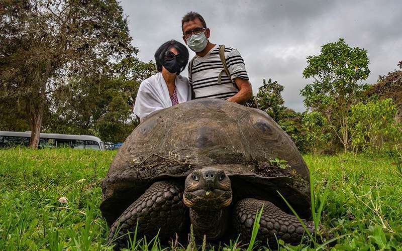 Galápagos con mascarilla 4 tortugas islas galapagos 1