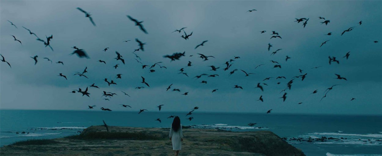 La piel pulpo 1 word image 121