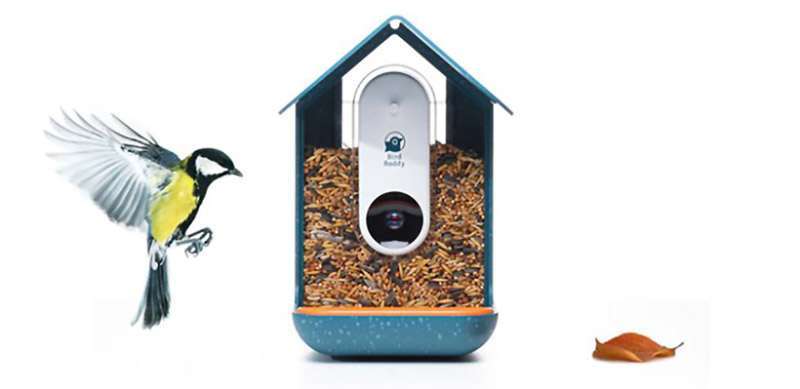 ¿Conoce las aves que habitan en su entorno? 1 word image 76