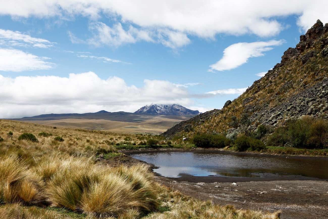 Pajareo en dos mundos 1 word image 77