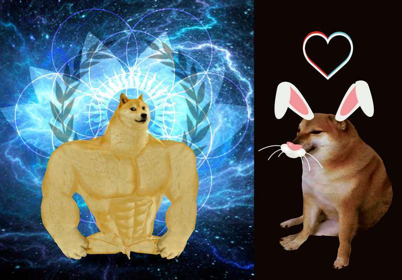 El meme del perro grande y el perro chico 1 word image 86