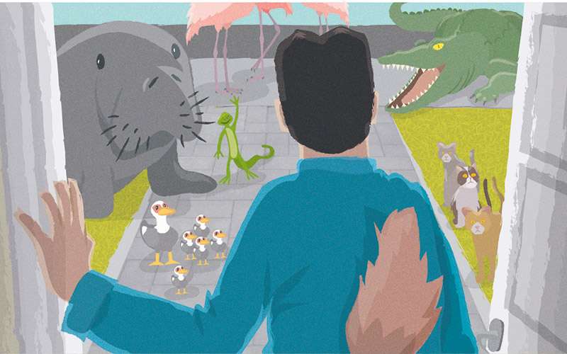 Yo, animal 1 yo animal